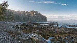 Ein felsiger Strand mit einem bewaldeten Hügel im Hintergrund.