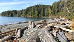 A rocky shoreline with driftwood and a dense forest in the background. - Shore 2 Please - Lower Unit,BRIGHT/Mountain views (Port Renfrew)