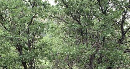 Bear Mountain Ranch at Ramsey Canyon