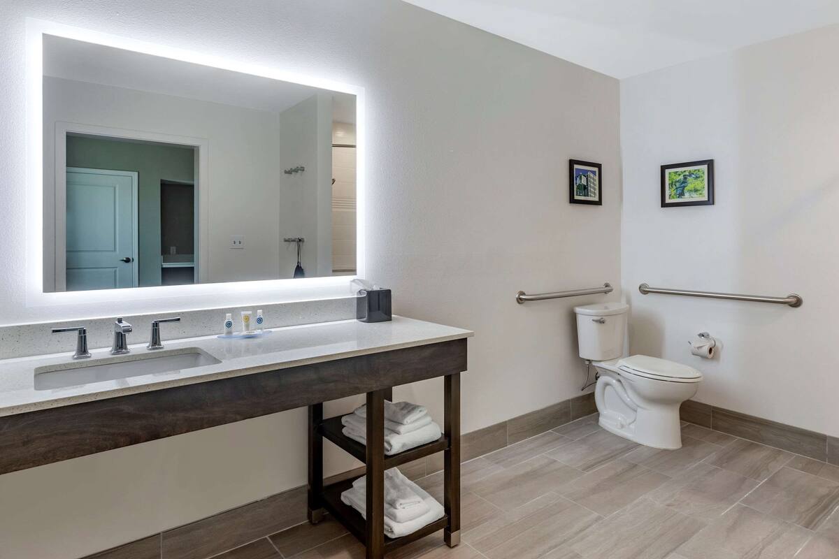 suite, 1 king bed, accessible, non smoking | premium bedding, desk, laptop workspace, soundproofing