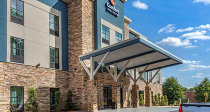 Comfort Inn & Suites Olive Branch Old Towne