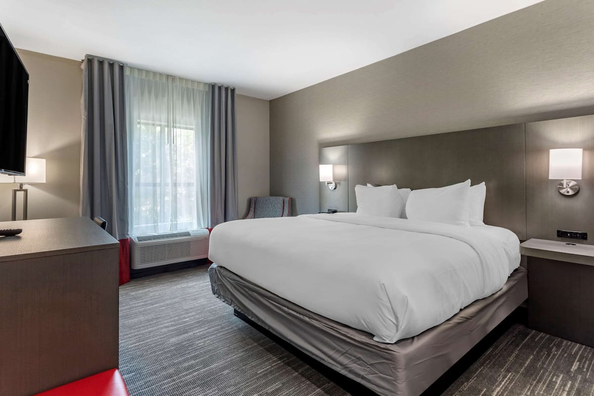 Standard Room, 1 King Bed, Non Smoking | Premium bedding, desk, laptop workspace, soundproofing