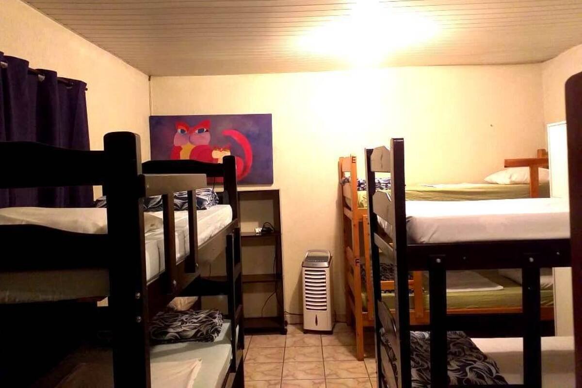 Shared Dormitory, Mixed Dorm