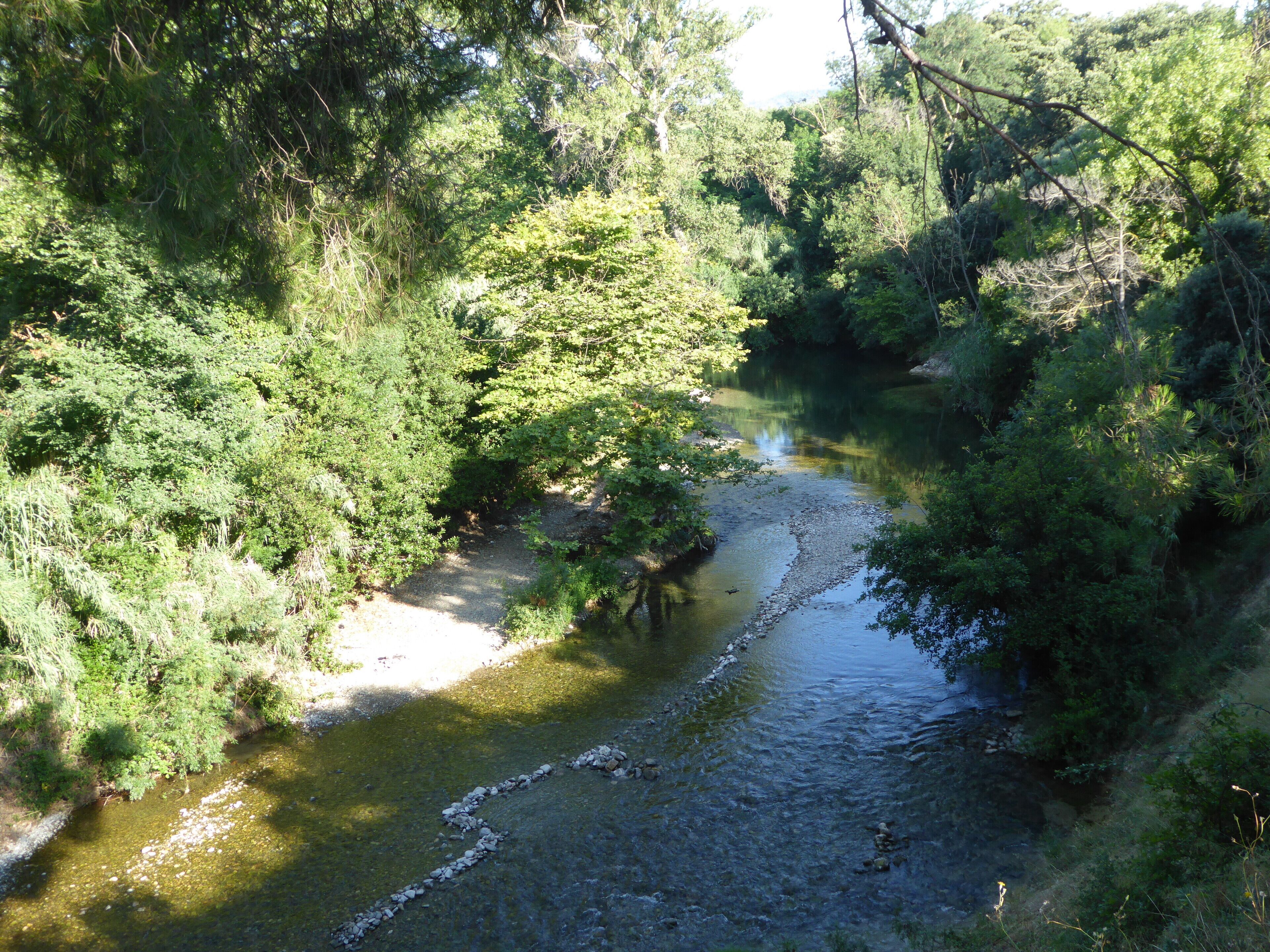 Ein Fluss fließt durch ein dicht bewaldetes Gebiet mit felsigem Grund und üppiger Vegetation.