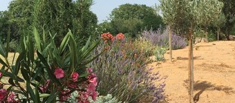DIVINE ETOILE Gîte vignoble domaine de l'herbe sainte proche Canal du Midi