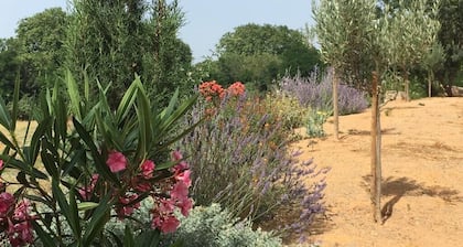 DIVINE ETOILE Gîte vignoble domaine de l'herbe sainte proche Canal du Midi