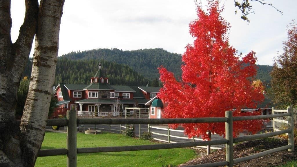 A red building with a green roof, surrounded by a wooden fence and a red maple tree.