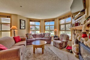 TV, fireplace, books, video library