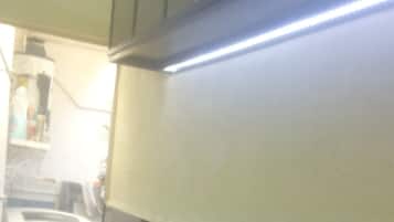 Fridge, blender, cookware/dishes/utensils