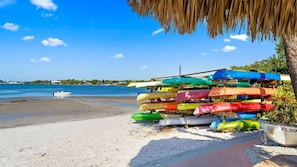 Una playa con kayaks de colores apilados bajo una palmera.
