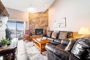 Televisión, chimenea, reproductor de DVD y libros 