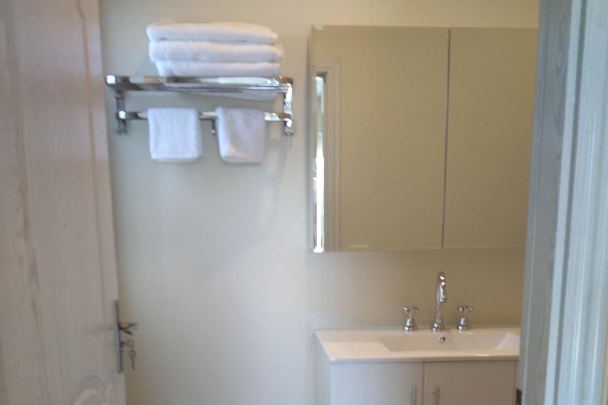 Shower, rainfall showerhead