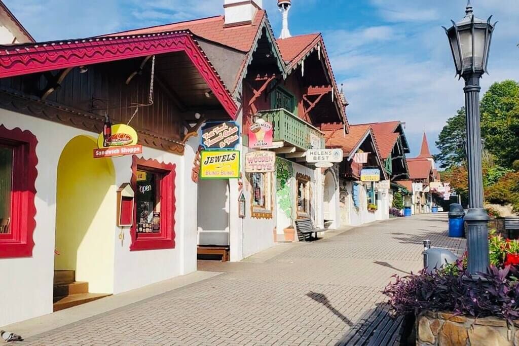A street lined with traditional buildings, each with distinct signage for various shops and services.