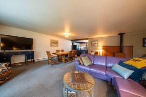 Smart TV, fireplace, DVD player, books