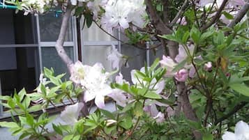 施設の敷地