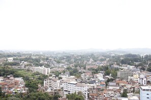 Un área urbana densamente poblada con diversos edificios, incluyendo construcciones de varios pisos y casas más pequeñas, rodeada de vegetación.