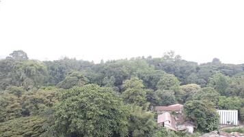 Kamar | Pemandangan dari kamar