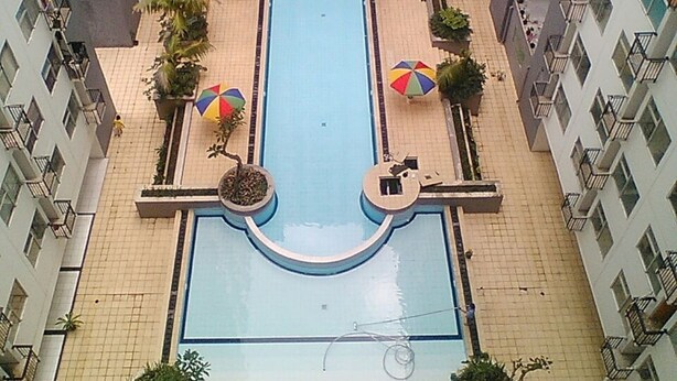 Una piscina rodeada de un paseo empedrado, con múltiples sombrillas y plantas en macetas.