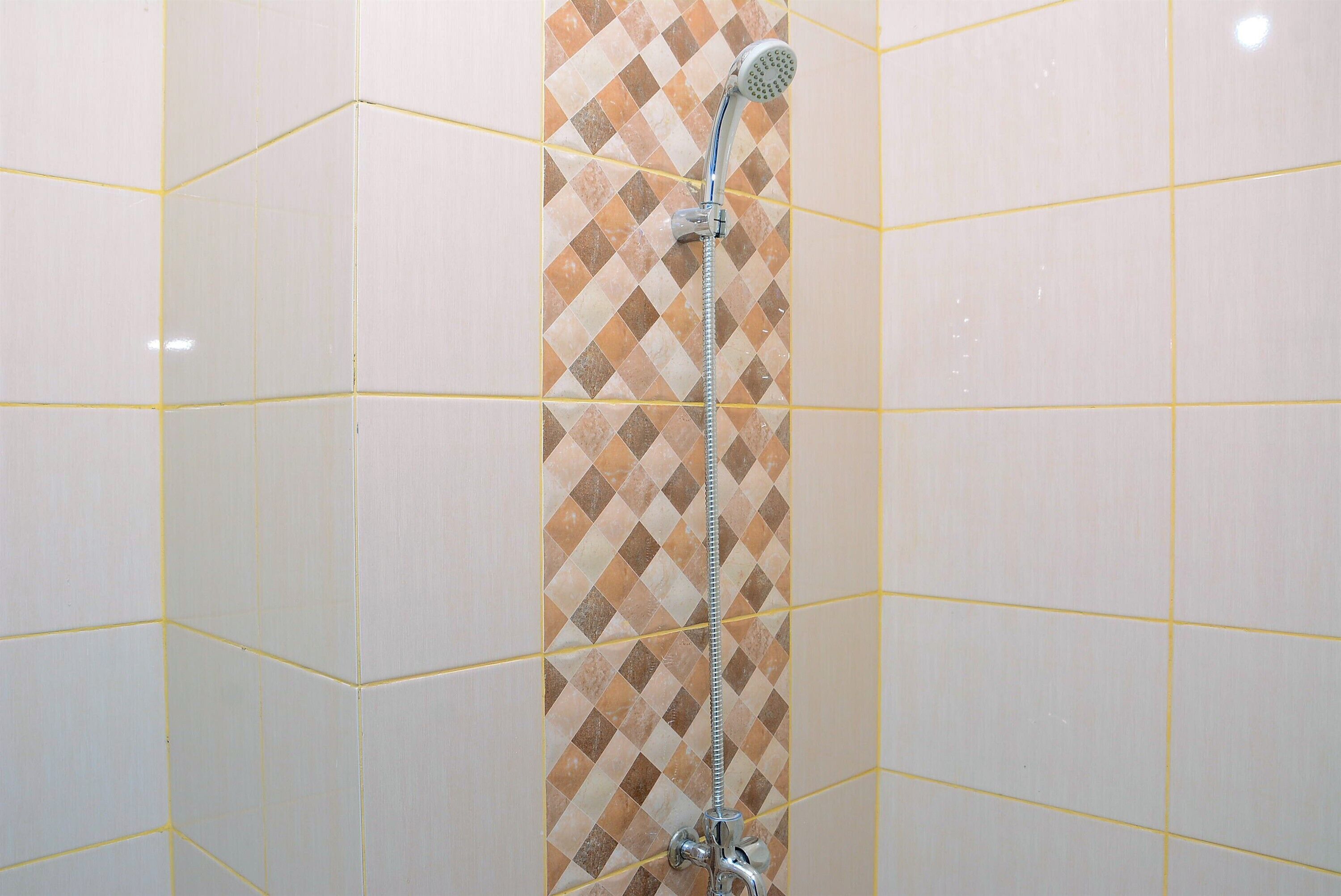 A shower with a handheld showerhead and a wall-mounted control.