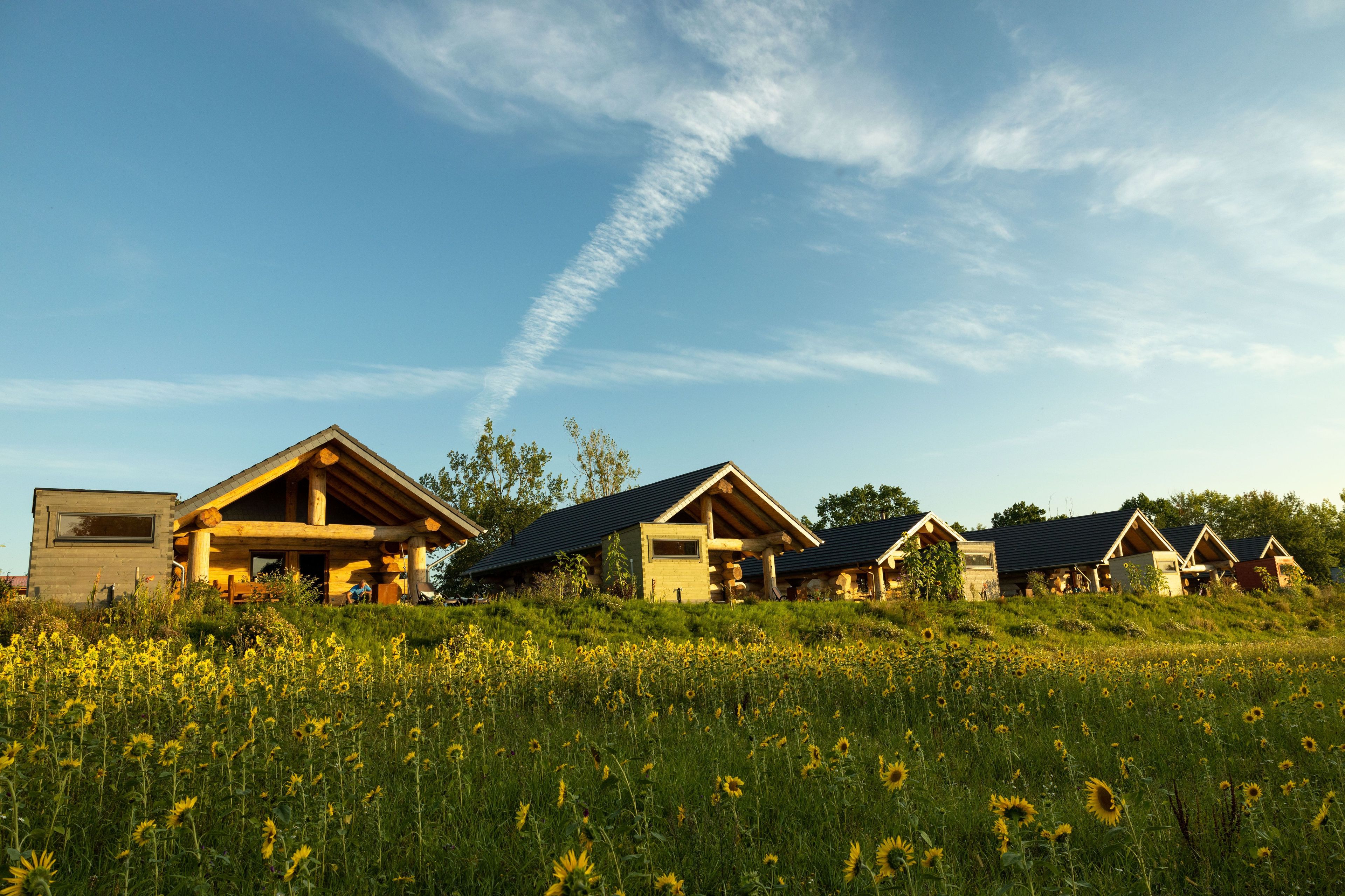 Une rangée de chalets en rondins, devant laquelle s’étend un champ verdoyant, le tout sous un ciel dégagé.