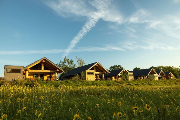 A row of log cabins with a grassy field in front, under a clear sky.
