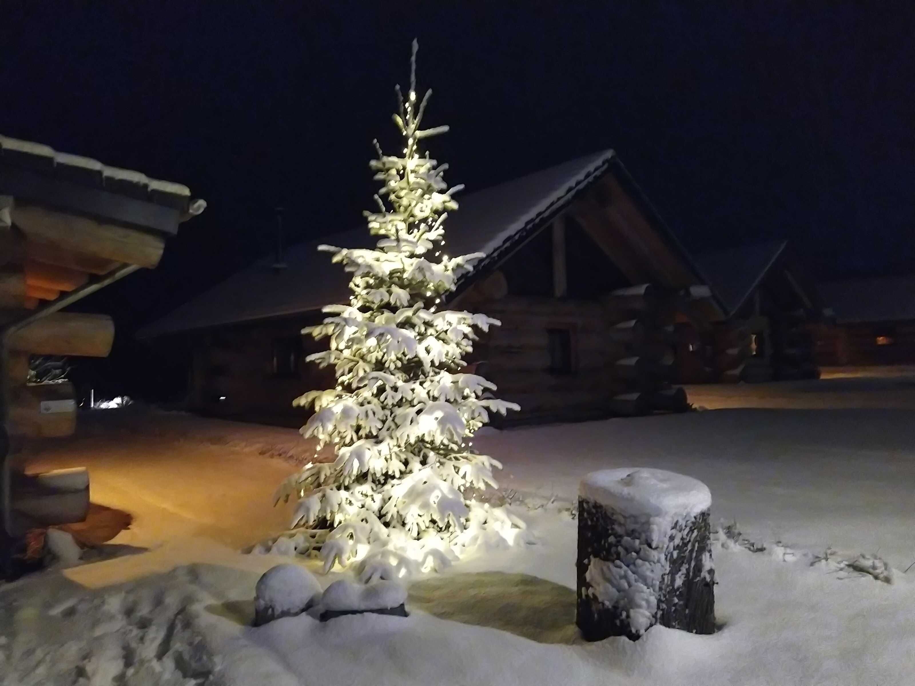 Un paysage enneigé, avec un sapin de Noël illuminé et une cabane en bois en arrière-plan.