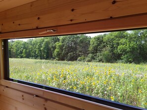 Ein Fenster mit Blick auf ein Sonnenblumenfeld und Bäume.