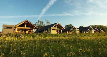 Log Cabins - Naturstamm Ferienhaus MeckPomm 22 - Feriendorf Tollensesee