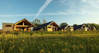 Log Cabins - Naturstamm Ferienhaus MeckPomm 22 - Feriendorf Tollensesee