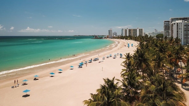 A beach with clear turquoise water, a sandy shore, and a row of palm trees. - La Costal | Beachfront Studio Apt w/ Ocean View (Carolina)