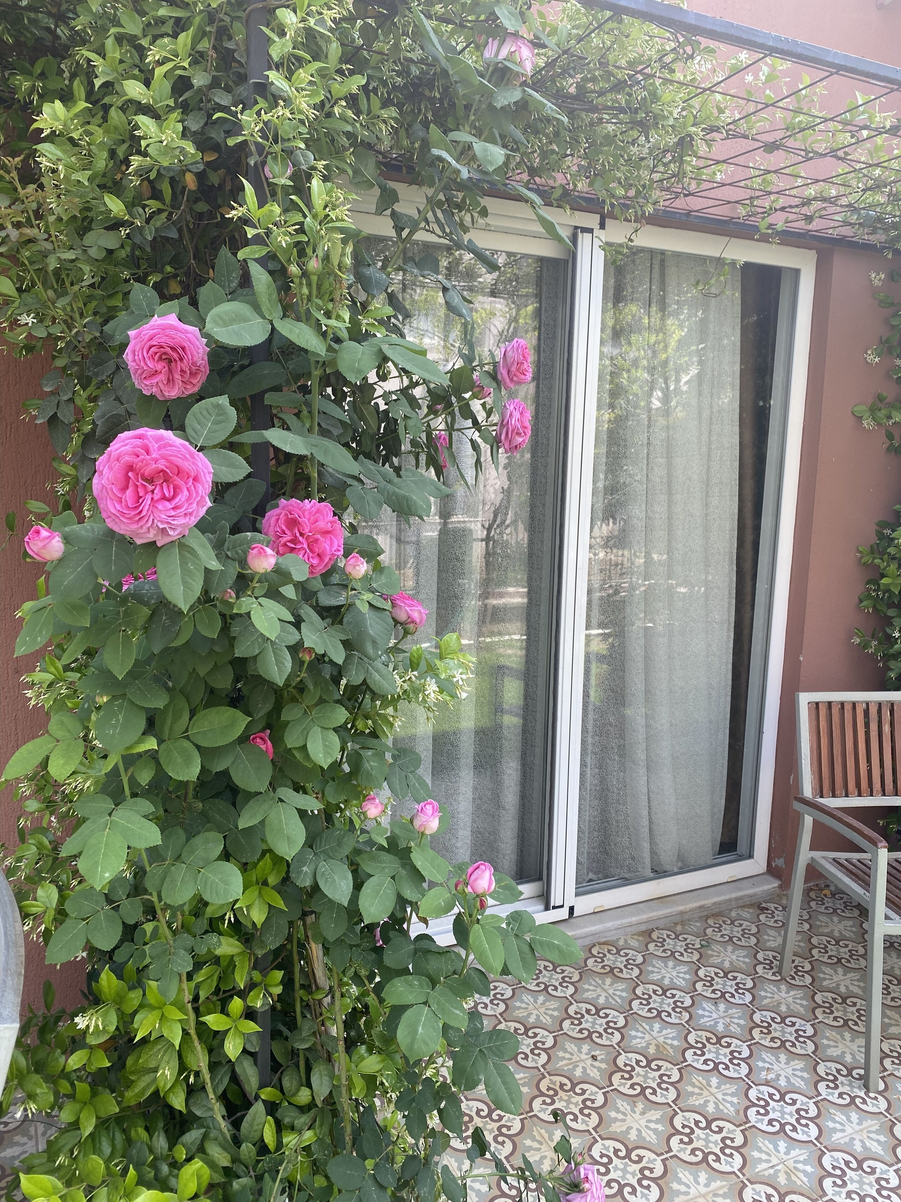 Foto - Ofuro World Hotel Spa