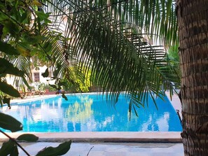 A clear blue pool surrounded by palm trees and a stone wall. - Green Park Resort (Pushkar)