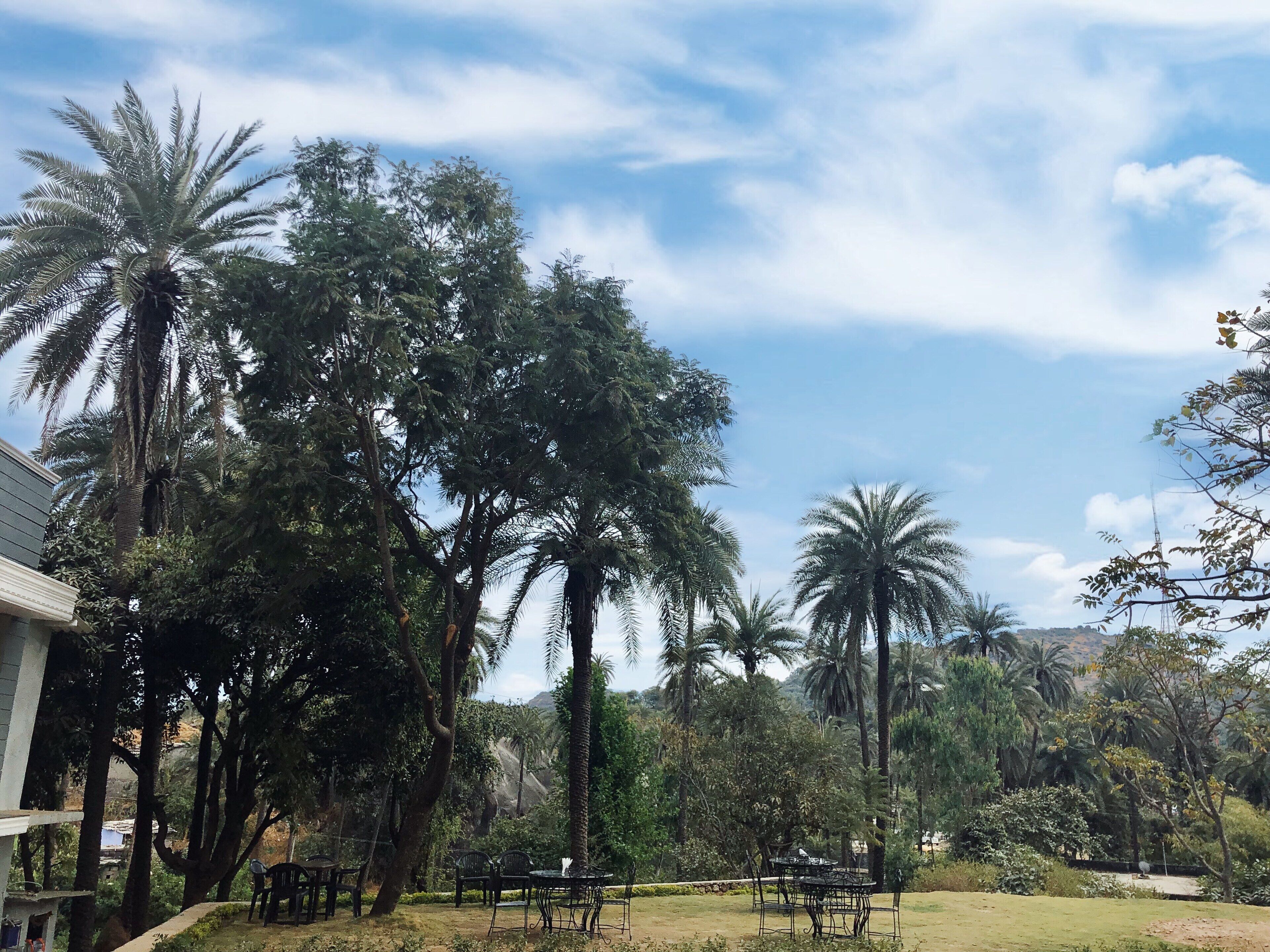 豪華客房 | 山景