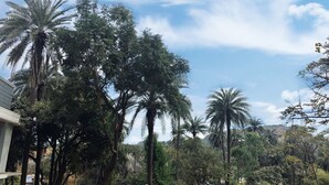 Un patio con palmeras, una mesa con sillas y un edificio al fondo.