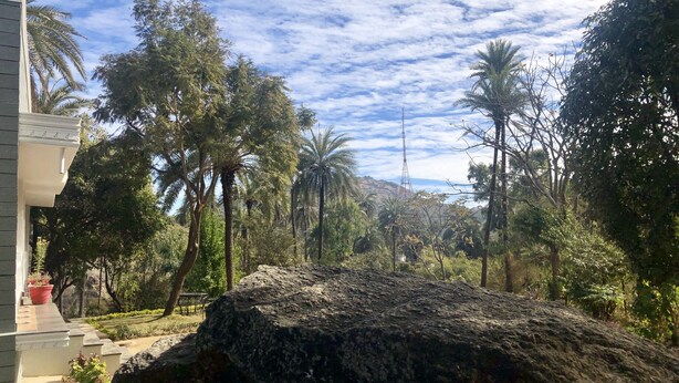 Una roca grande en un área ajardinada, con palmeras y un edificio al fondo.