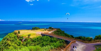 Um parque costeiro com uma ponte de madeira, áreas gramadas e vista clara do oceano.