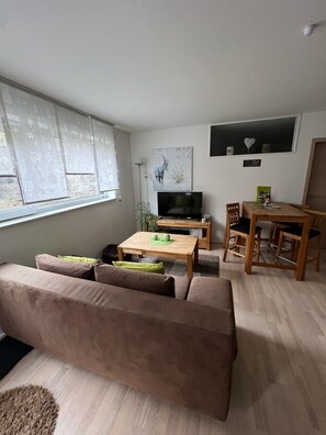 Televisión, chimenea y reproductor de DVD 