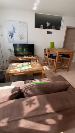 TV, fireplace, DVD player