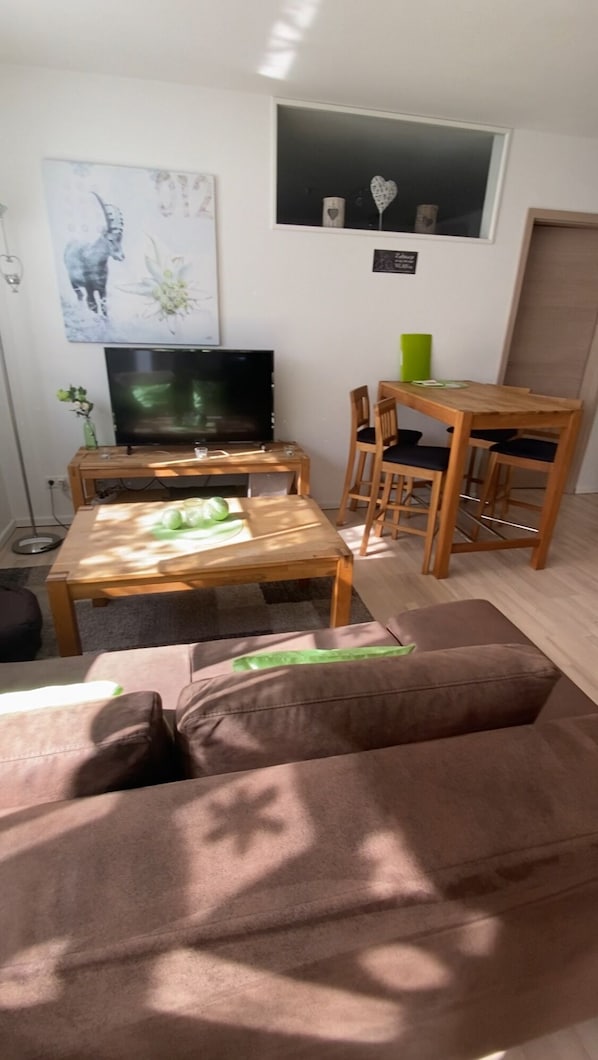 TV, lareira, DVD player