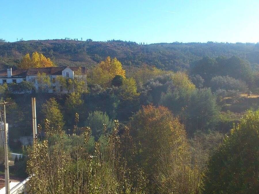 Kameruitzicht