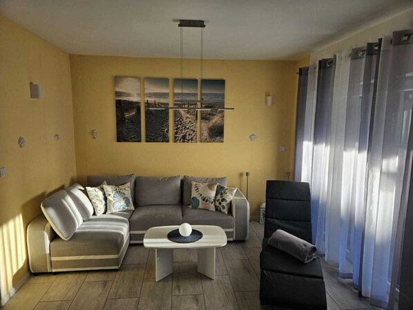 Televisión, chimenea, videojuegos y reproductor de DVD 