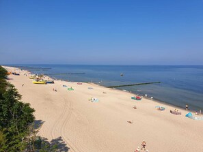 Playa en los alrededores y camastros 