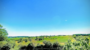 Paisaje rural con campos y árboles bajo un cielo despejado.