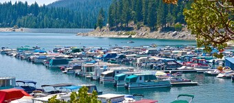 Dreamy mountain house w/large wood deck & private pool table - Dogs ok