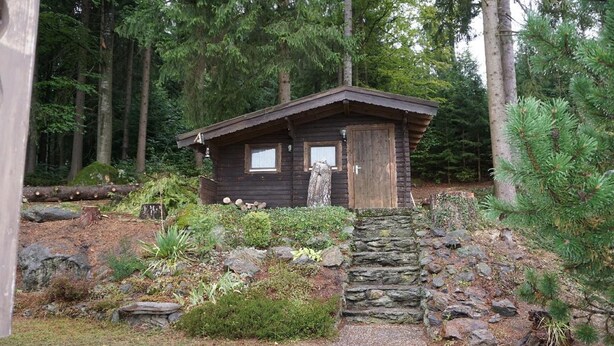 A rustic cabin with a stone staircase leading to a wooden door, surrounded by a forest. - Ferienwohnungen Alpenblick (Eppenschlag)