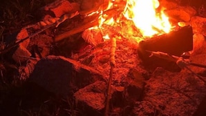 A campfire with logs and rocks, surrounded by grass. - Schelterhof (Wunsiedel)