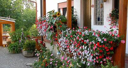 Bio Ferienhof Winkler