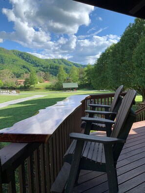 Property grounds - Beautiful Wears Valley Retreat, Amazing Views, Steps to Pool & Fishing Pond (Sevierville)