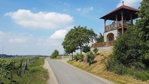 A vineyard road with a stone building featuring a balcony and a red roof. - Ferienhäusle Sommerach (Sommerach)