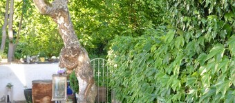 Ferienwohnung Storchennest